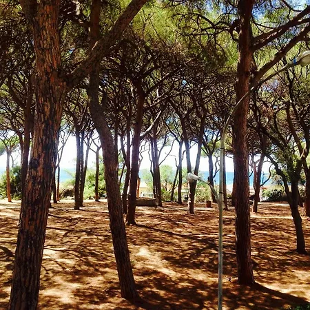 Apartman Via Cimarosa Follonica
